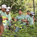 8 Blog Restaurar La Amazonia