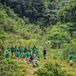 Blog Restauras La Amazonia 20