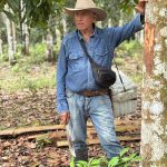 Don Eli Blog Restaurar La Amazonia