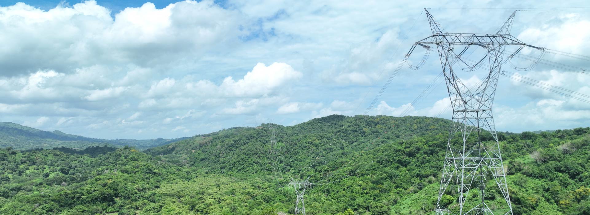 linea de transmisión de ISA, está en un bosque