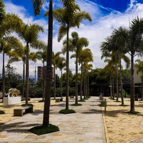 WhatsApp Image 2022 06 15 At 11.46.15 AM